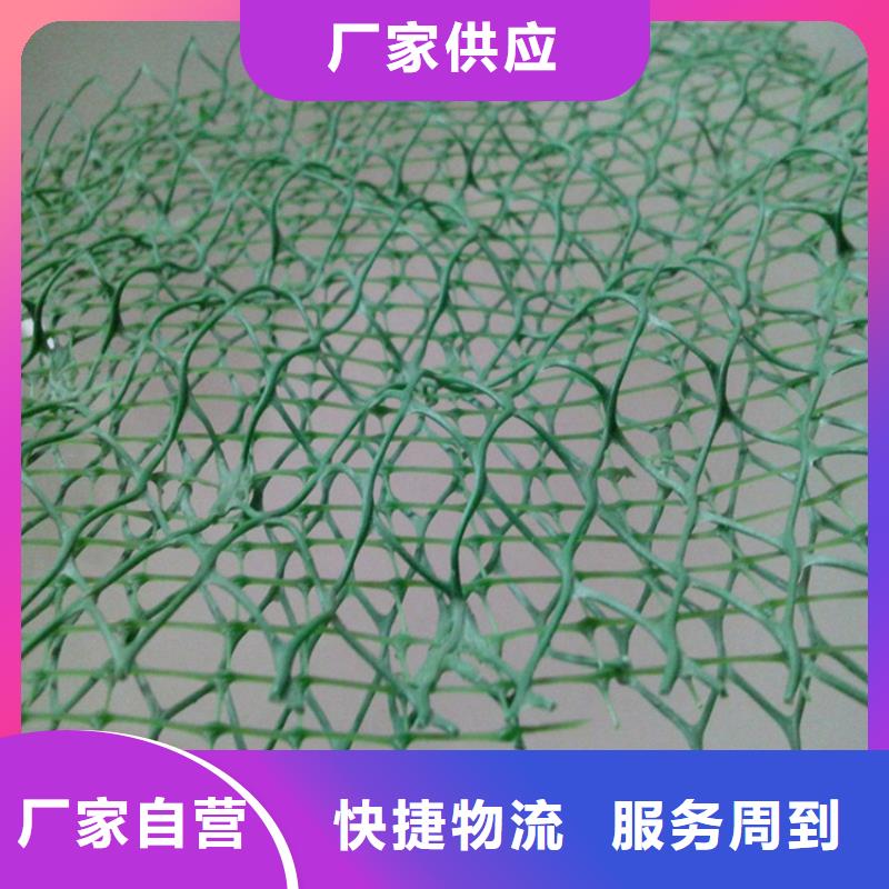 三维植被网玻纤格栅工厂价格