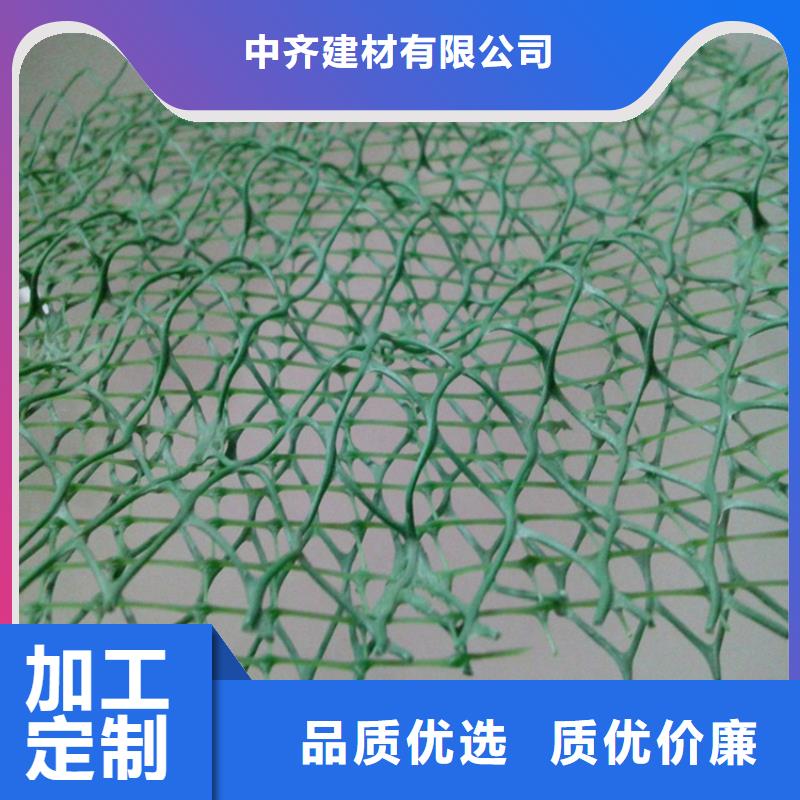 【三维植被网】_软式透水管厂家直销供货稳定由中齐为您