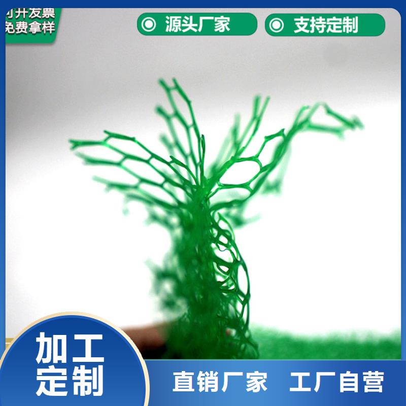 三维植被网_生态带种类多质量好