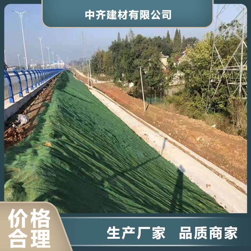 三维植被网土工格栅海量库存