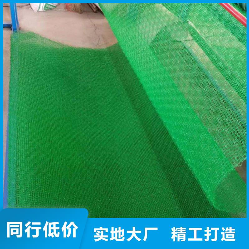 【三维植被网】_防渗膜匠心工艺 中齐建材(兰州市分公司)
