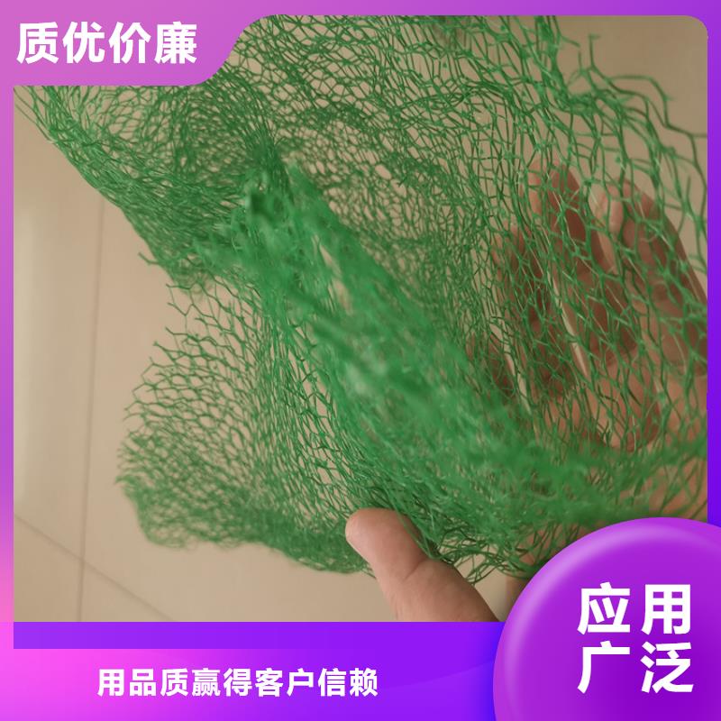 三维植被网_塑料盲沟高品质诚信厂家