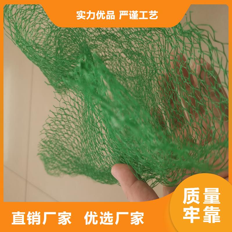 【三维植被网】_软式透水管厂家直销供货稳定由中齐为您