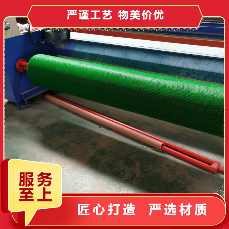 【三维植被网】_防渗膜匠心工艺 中齐建材(兰州市分公司)
