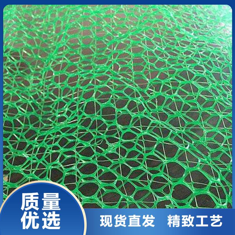 三维植被网_塑料盲沟高品质诚信厂家