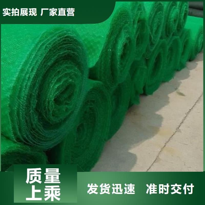 三维植被网双向塑料土工格栅货到付款