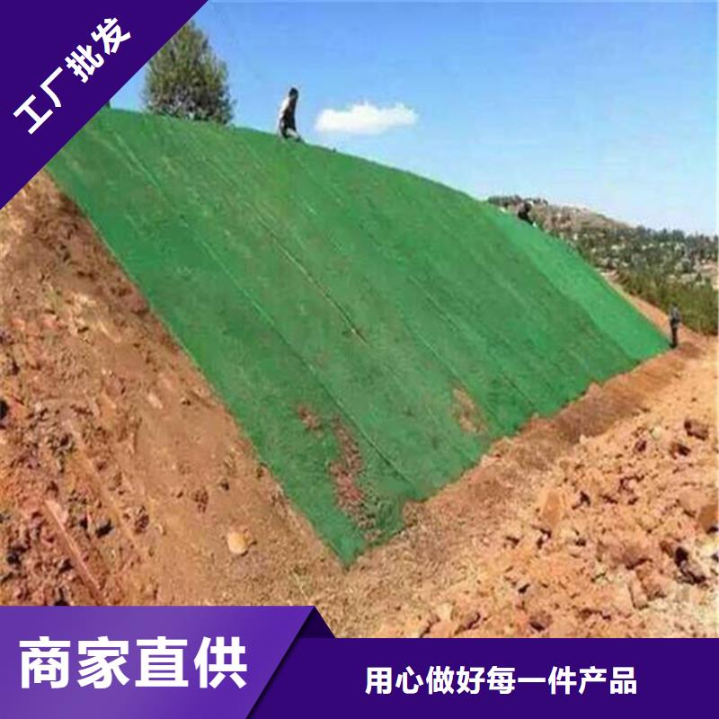 三维植被网_生态带种类多质量好