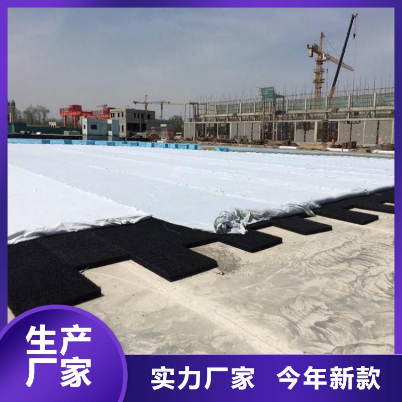 【土工席垫】塑料玻纤格栅品质值得信赖