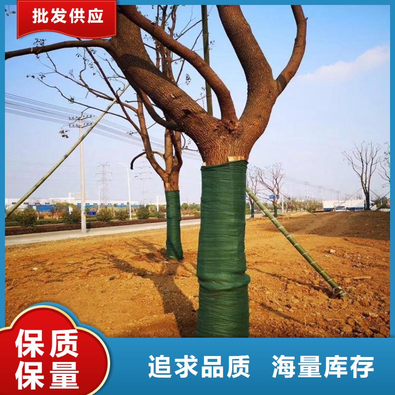 【裹树布】_防渗膜海量现货直销|防裂贴-中齐建材(沈阳市分公司)