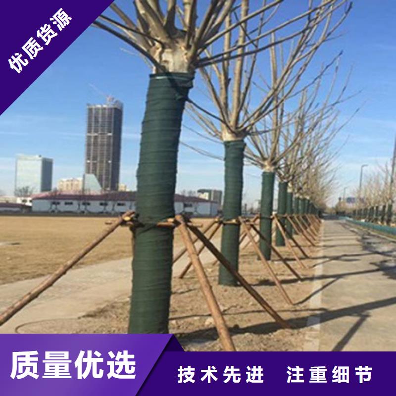 【 裹树布_防渗膜追求品质】本地品牌