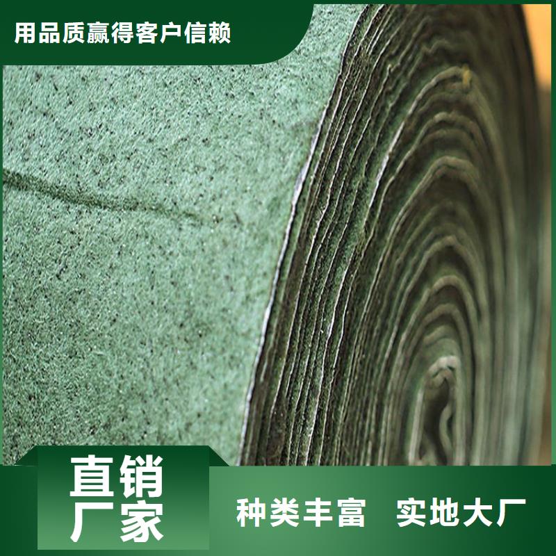 裹树布HDPE土工膜品种全