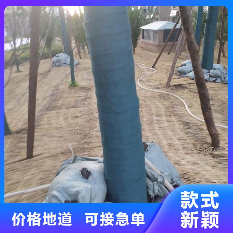 【裹树布,防渗膜优选原材】