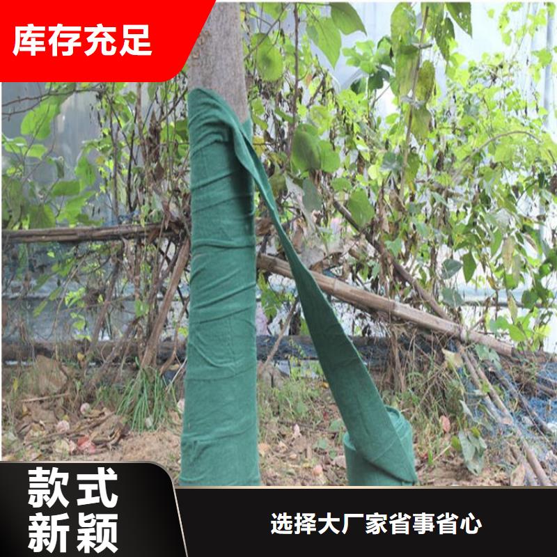 裹树布土工格栅现货销售