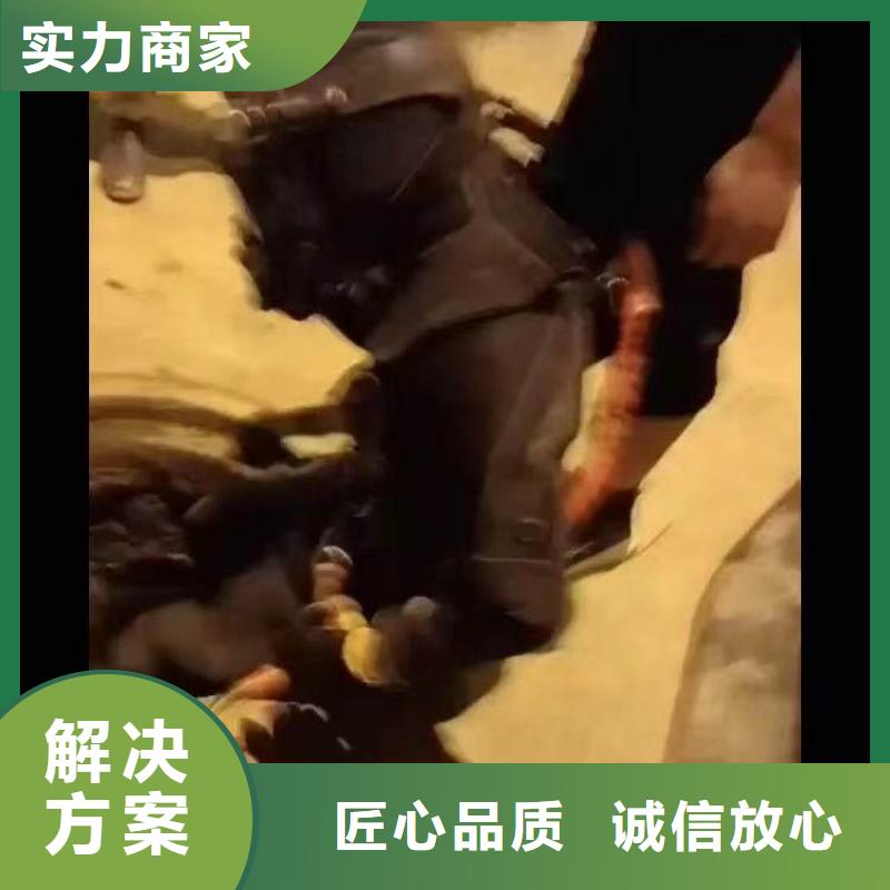 水下作业潜水员服务-污水管封堵施工优质服务