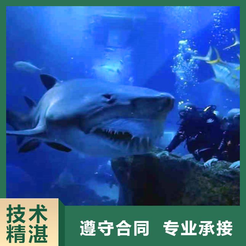污水厂水下维修价格优惠身边的队伍
