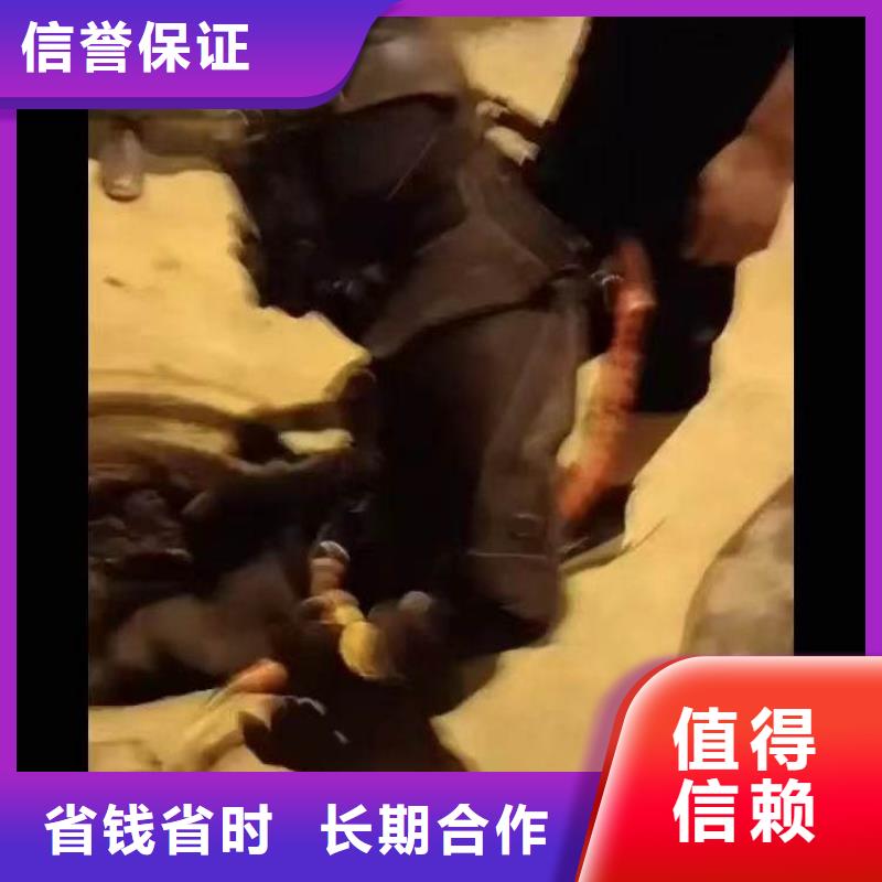 水下施工-【水下摄影】高性价比