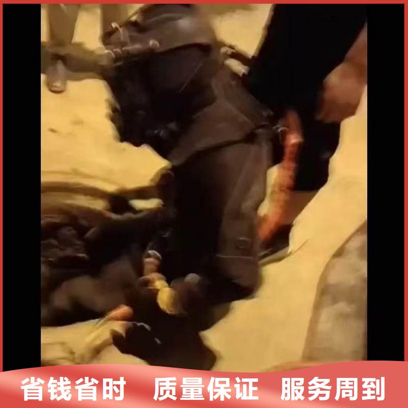 水下施工 蛙人施工服务周到