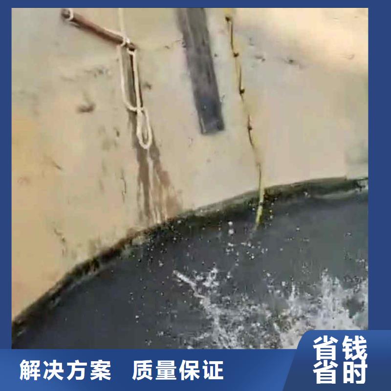 潜水员服务水下摄影服务周到解决方案