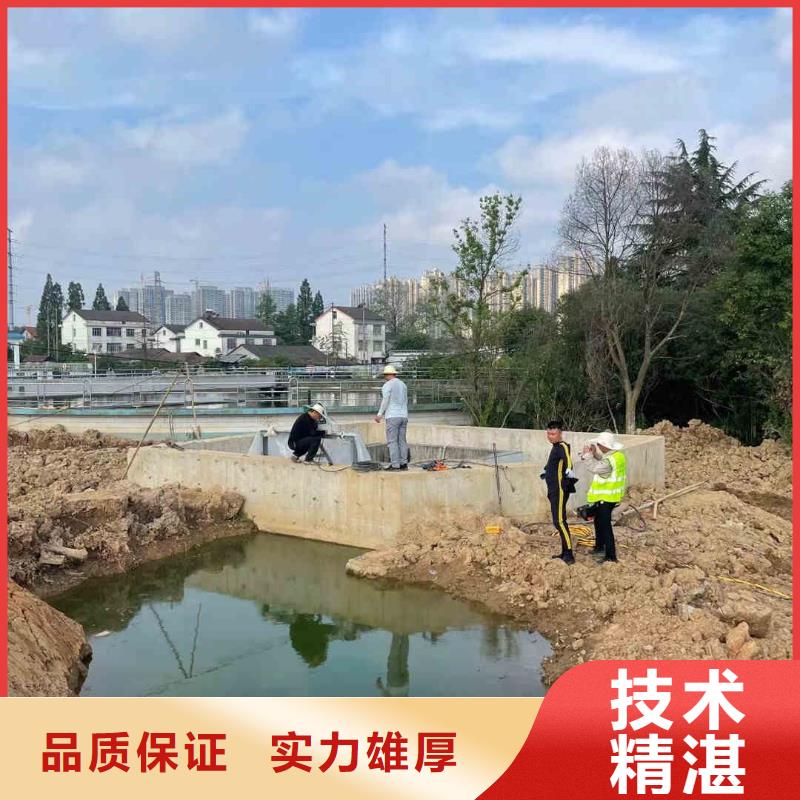 潜水员服务气囊封堵专业团队