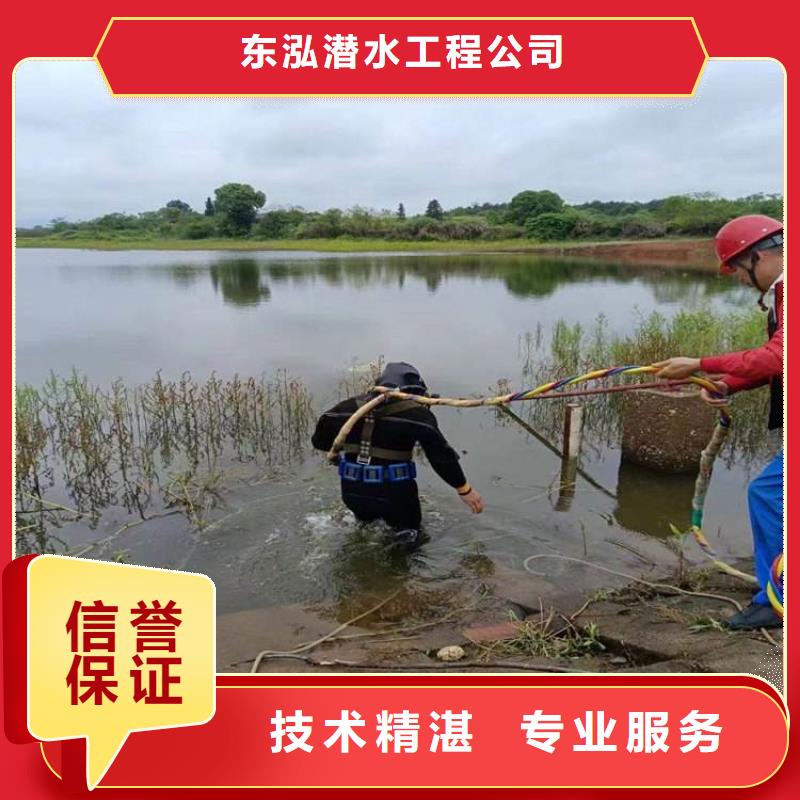 性价比高的潜水清理海生物