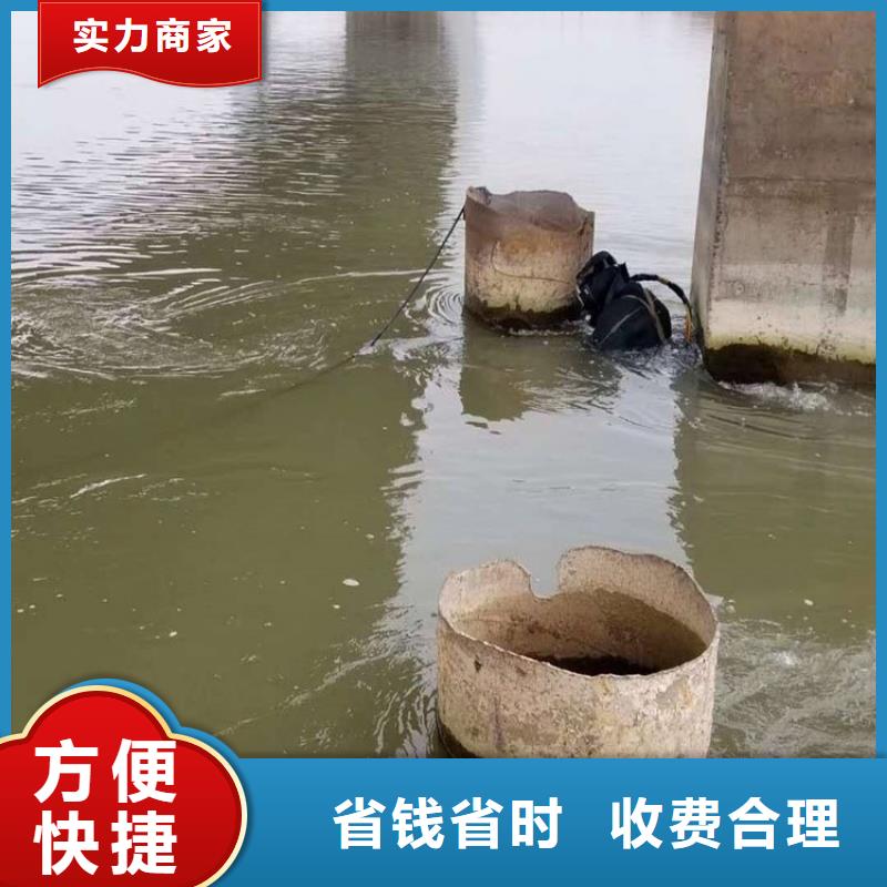 【 潜水工程,堤防工程施工正规公司】 东泓潜水工程公司(肇庆市分公司)