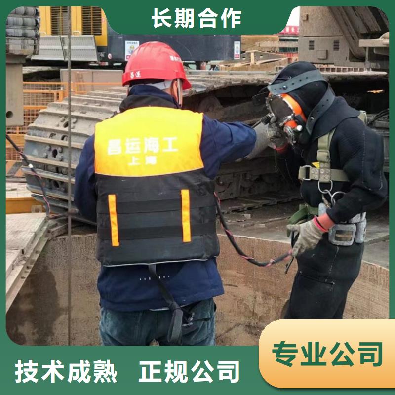 快速响应 潜水工程,【潜水堵漏】技术成熟-附近专业公司_产品中心