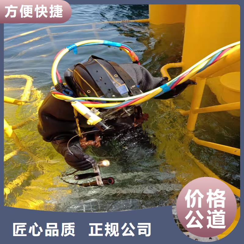 水下维修,堤防工程施工案例丰富