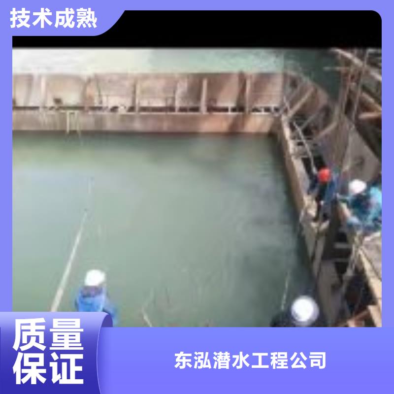 潜水员2025专业的团队