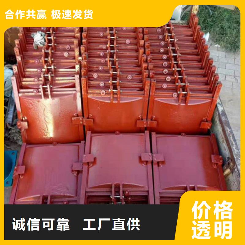 法兰式铸铁镶铜闸门供应商求
