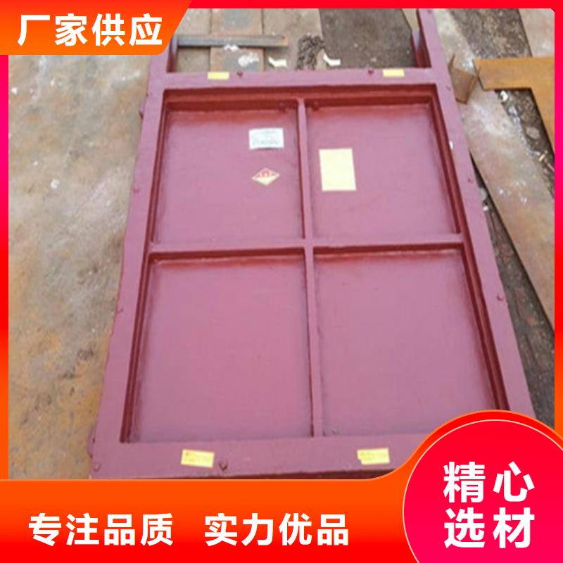 性价比高的铸铁镶铜闸门厂家