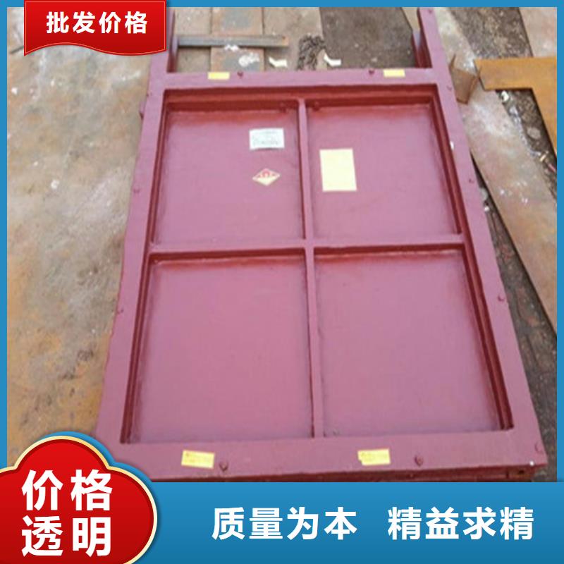 河道闸门包你满意
