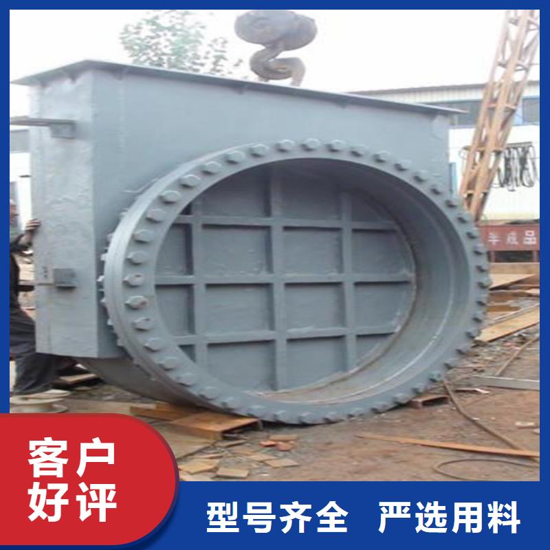 钢制一体闸门公司