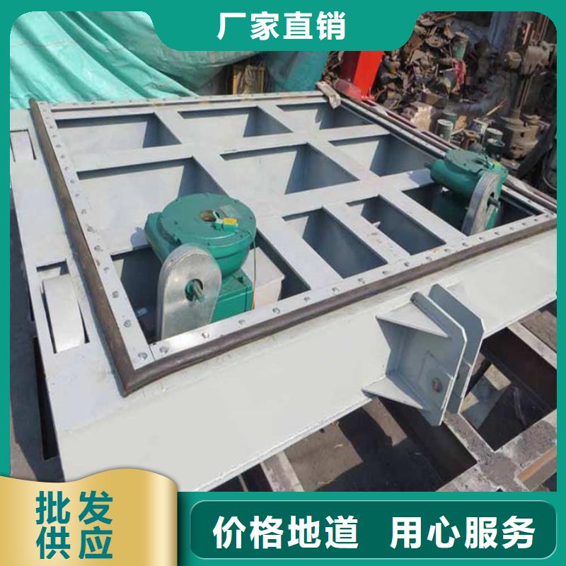钢制一体闸门公司