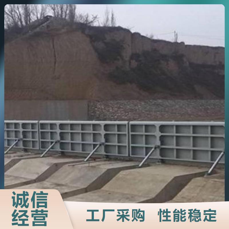 信誉好的钢坝翻板闸门公司