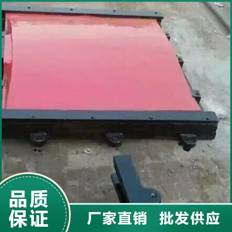 支渠退水铸铁闸门加工厂