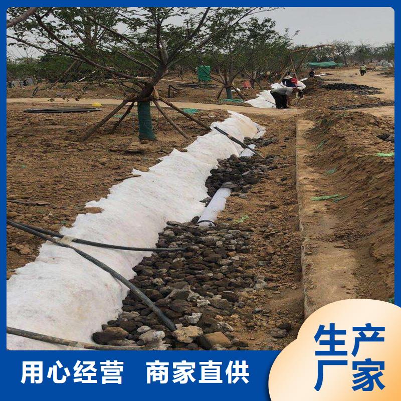 塑料盲管支持定制价格