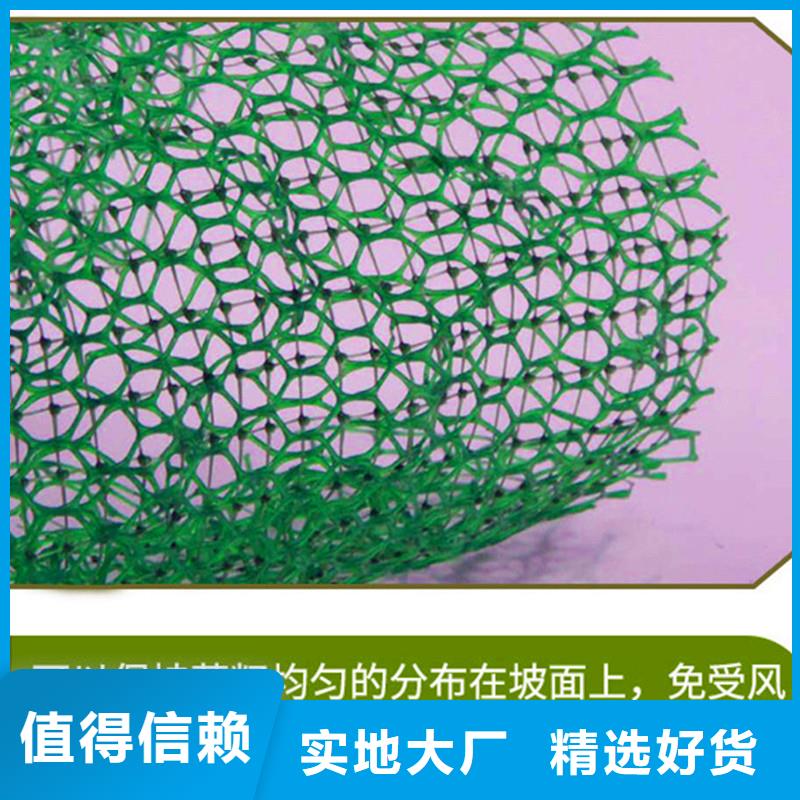 三维植被网土工格栅工厂认证