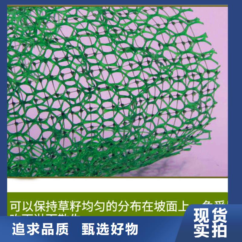 三维植被网【水平止水铜片】准时交付-金鸿耀工程材料(乌兰察布市分公司)