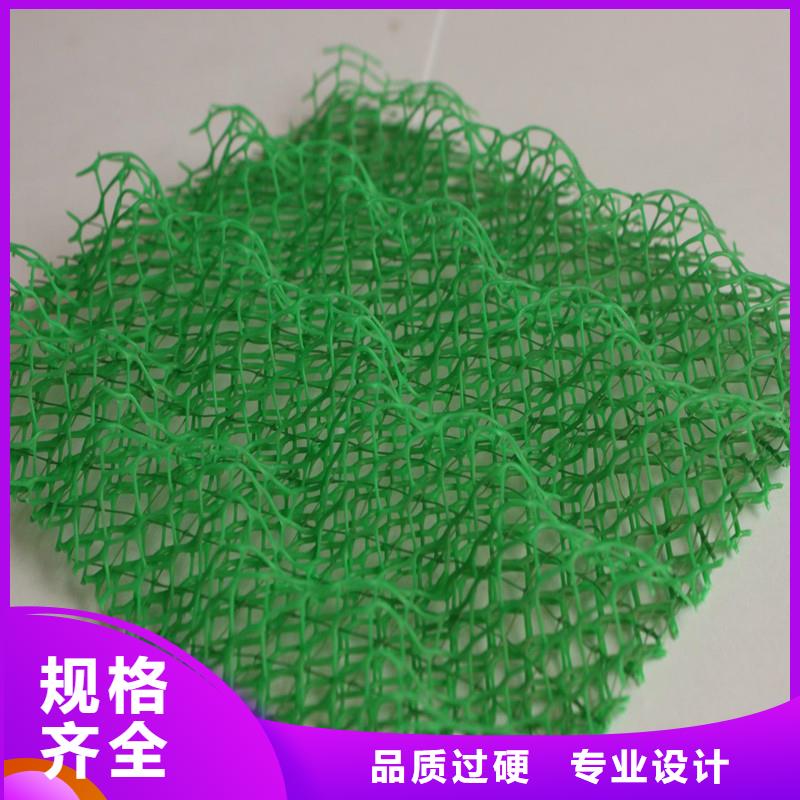 三维植被网-【钢纤维】专注产品质量与服务