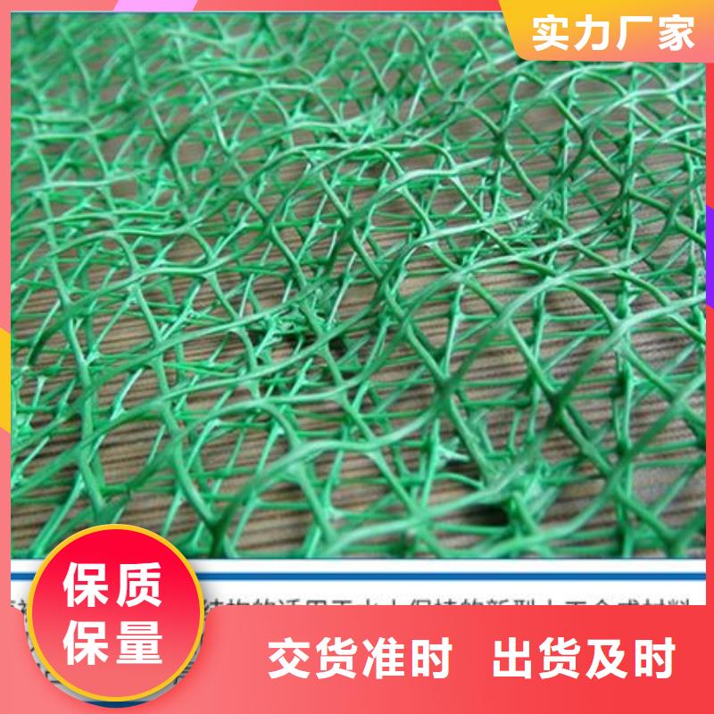 三维植被网【水平止水铜片】准时交付-金鸿耀工程材料(乌兰察布市分公司)