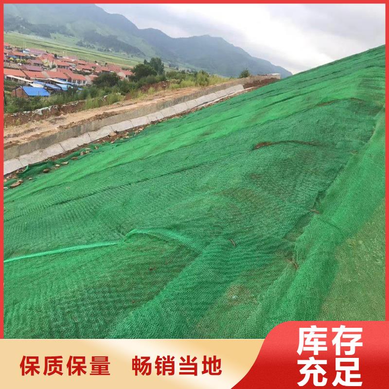 三维植被网土工布畅销当地