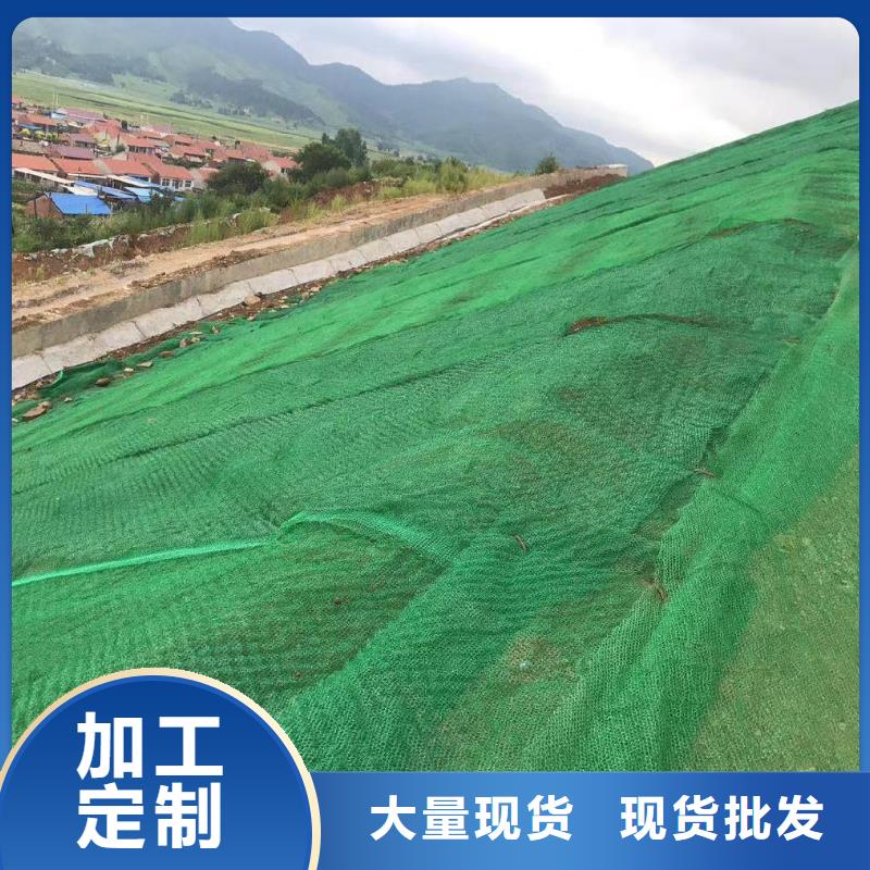 三维土工网垫图片企业-价格优惠