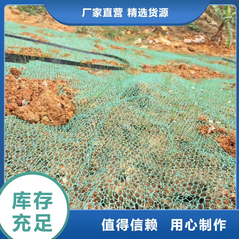 三维植被网【水平止水铜片】准时交付-金鸿耀工程材料(乌兰察布市分公司)