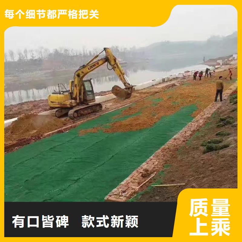 【 三维植被网,土工布用途广泛】覆盖范围含|冷水江|双峰|株洲|衡阳|郴州|湘西|怀化|张家界