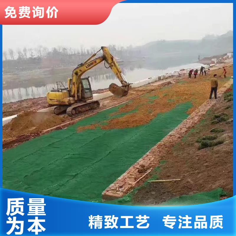 三维植被网铜止水质检合格发货