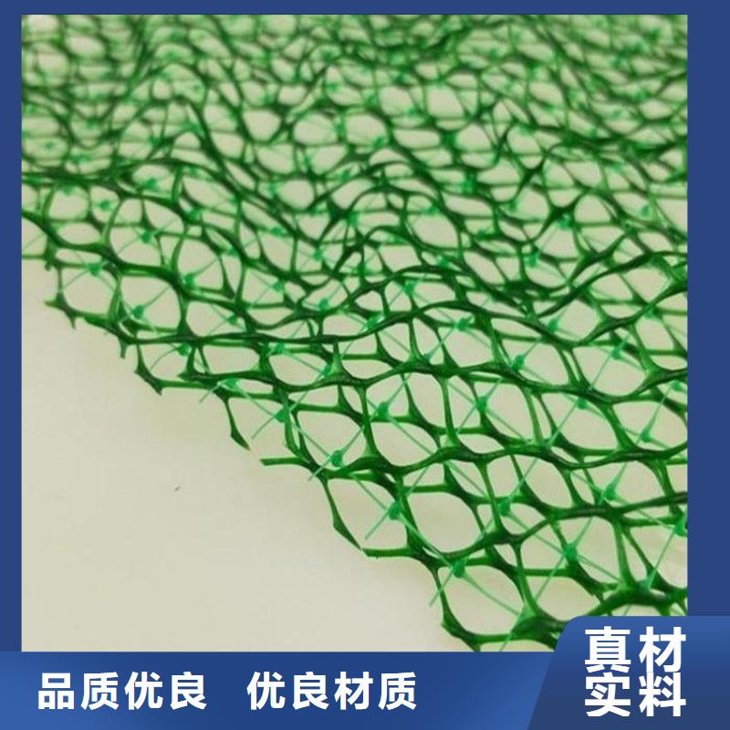 三维植被网仿钢塑钢纤维放心得选择