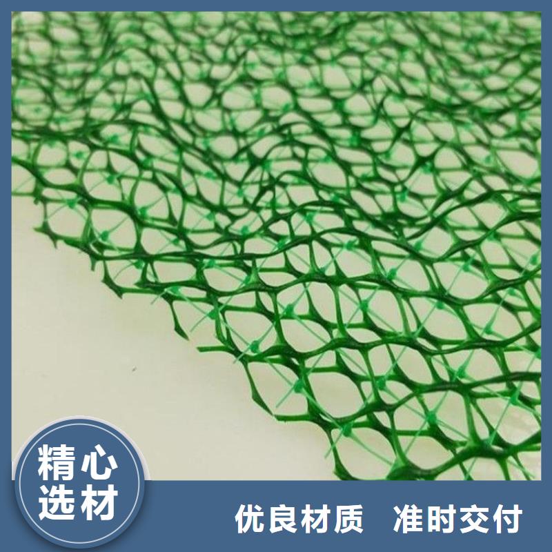 三维土工网植草多少钱一平方距您较近