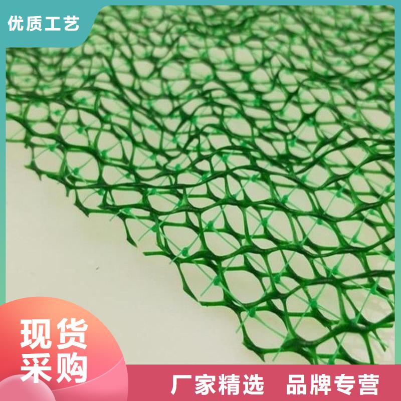 三维植被网,铜止水生产厂家质检合格发货