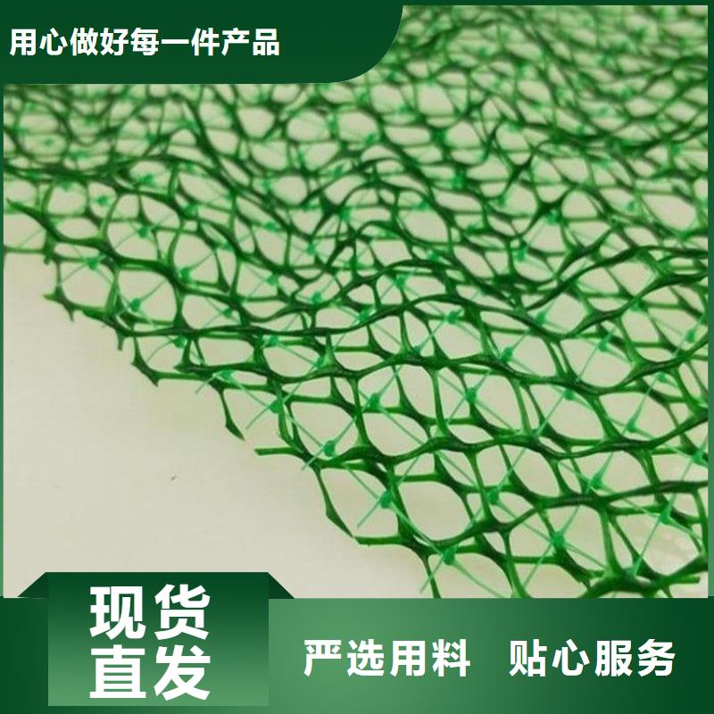 崇义|瑞金|南昌|上饶|新余|吉安三维植被网-【土工格栅】产地源头好货-金鸿耀工程材料(赣州市分公司)