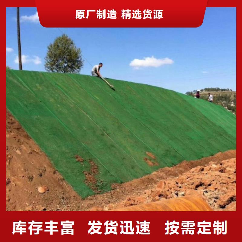 三维植被网【水平止水铜片】准时交付-金鸿耀工程材料(乌兰察布市分公司)